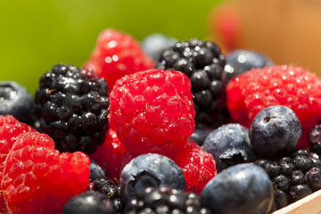 Healthy Organic Ripe Berries