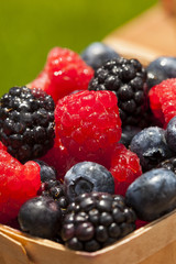 Healthy Organic Ripe Berries