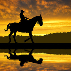 silhouette of a rider on a horse