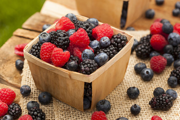 Healthy Organic Ripe Berries