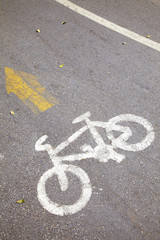 Obraz premium bicycle lane symbol in sun light