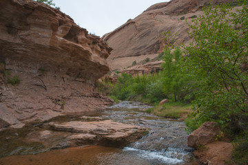Negro Bill Trail Moab Utah