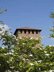 Castle in Pavia, Italy
