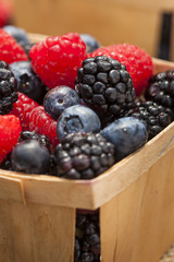 Healthy Organic Ripe Berries