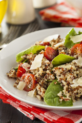 Healthy Vegetarian Quinoa Salad