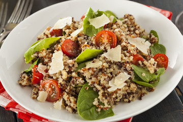 Healthy Vegetarian Quinoa Salad
