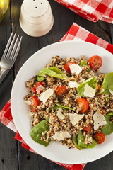 Healthy Vegetarian Quinoa Salad