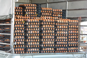 Eggs pack on the pickup