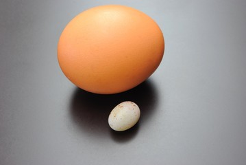 Uovo di gallina e uovo di passero