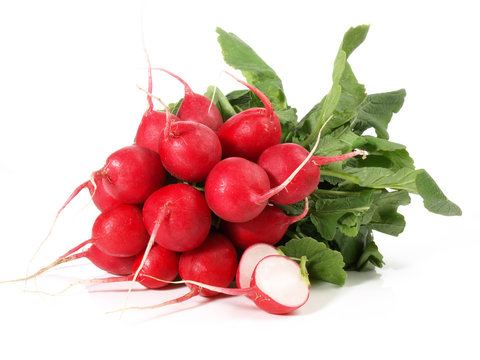 Radieschen