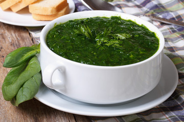 Fresh spinach soup with croutons close up on the table.