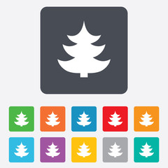 Christmas tree sign icon. Holidays button.