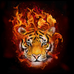tête de tigre en flammes
