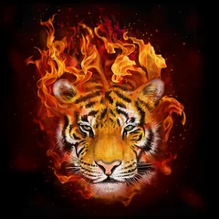 Papier Peint photo Lavable Tigre tête de tigre en flammes