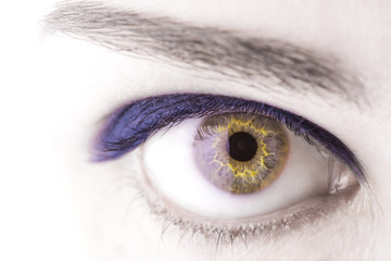 Fototapeta premium beautiful Blue woman eye macro shot