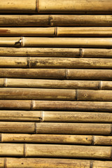Bamboo background