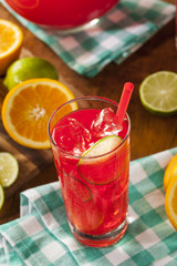 Refreshing Cold Fruit Punch