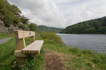Wooden bench beside a picturesque lake