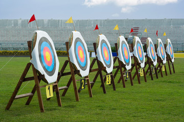 Series of archery clear targets in green field