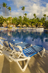 Deck chairs by the pool amid tall exotic palm trees