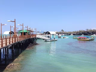 Fotobehang santa cruz harbor © TravelTelly
