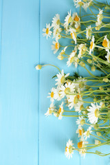 Chamomiles on color wooden background