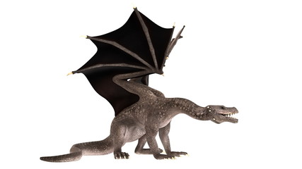 ドラゴン