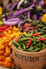 organic assorted peppers at the Farmers Market