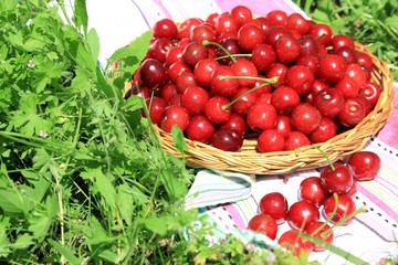 Sweet cherries on wicker stand with napkin on grass background