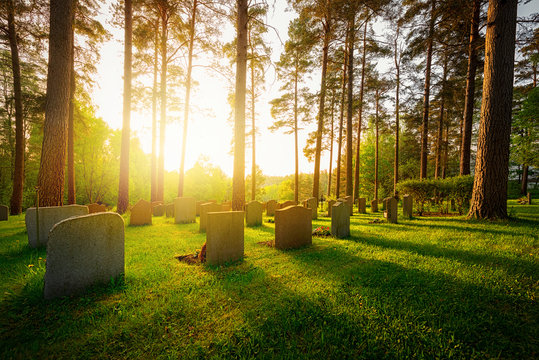 Graveyard in sunset with warm light
