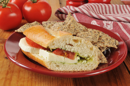 Caprese sandwich with tortilla chips