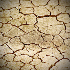 dry cracked earth