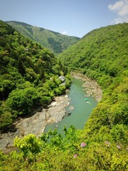 Fototapeta na wymiar 新緑の京都嵐山