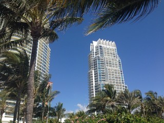 Fototapeta na wymiar Miami beach hotels