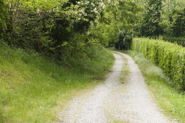 dirt road in the countryside