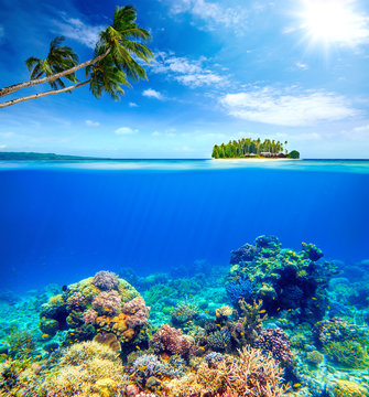 Fototapeta Beautiful Coral Reef on the background of a small island