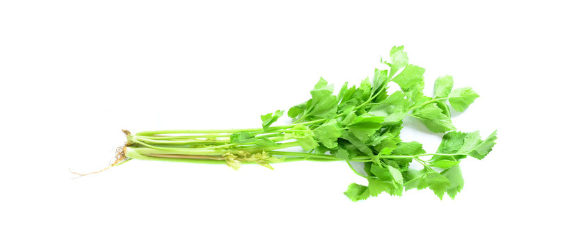 green celery isolated on white background