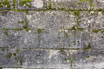 green moss on ancient wall