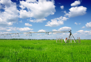 Fototapeta na wymiar wheat field and irrigation equipment