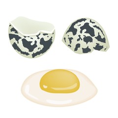 Fresh Cracked Quail Eggs on White Background