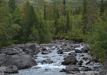 Mannepahk Stream in Khibiny Mountains, Russia