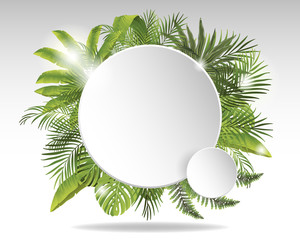 tropical background - 65537883