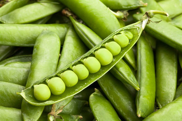 peas in a pod