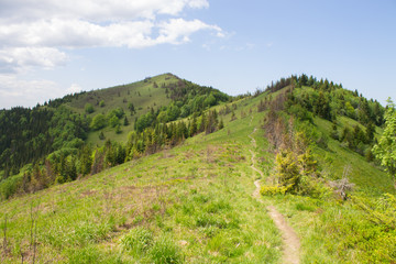 mountain landscape