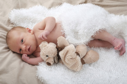 10 Best Tout Nu Images Stock Photos Vectors Adobe Stock