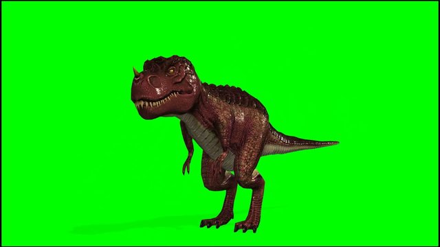 Tyrannosaurus T-Rex Run Green Screen 3D , Stock Video