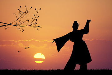 Japanese dance at sunset