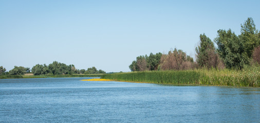 Landscape of central Russia, Volga delta