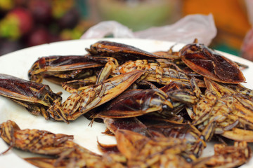 close up of fried insect