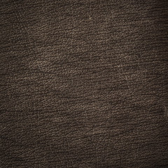 Brown Leather Background.